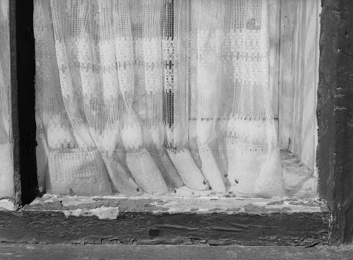 Old Lace Curtains
