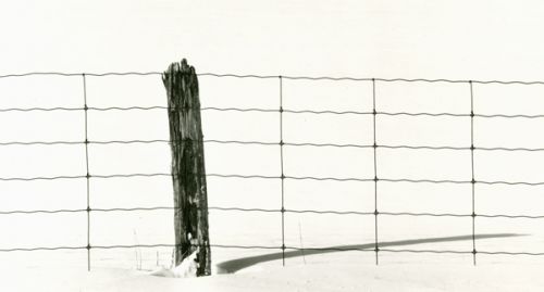 Fencepost and Shadow