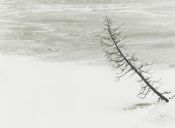 Winter in Ontario Canada