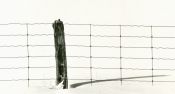 Fencepost and Shadow
