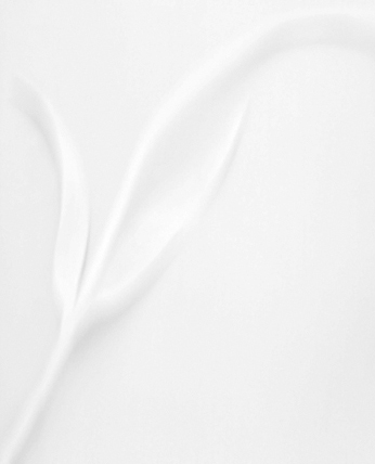 Tulip Stem