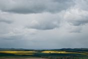 Spring Landscape, Northumberland
