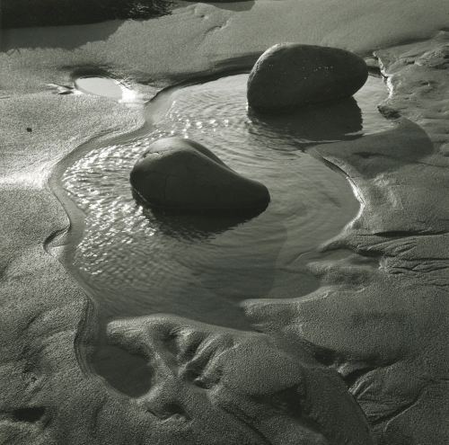 Tidepool and Rocks