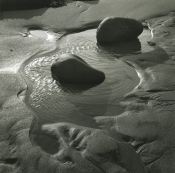 Tidepool and Rocks